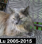 Lu-Lu 2005-2015